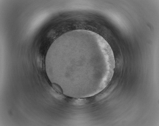 X0000111360527200908071156