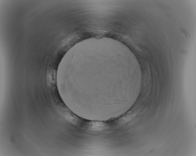 X0000111360528200908071156