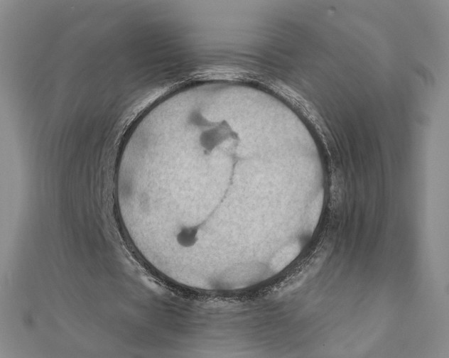 X0000111360529200908071155