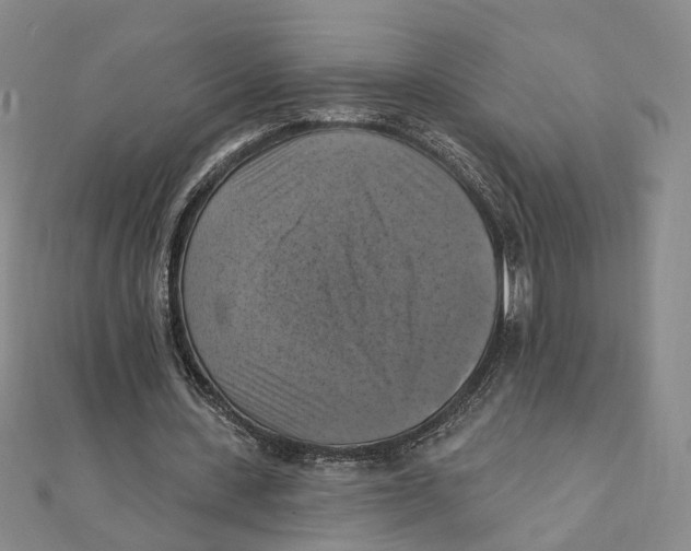 X0000111360531200908071155