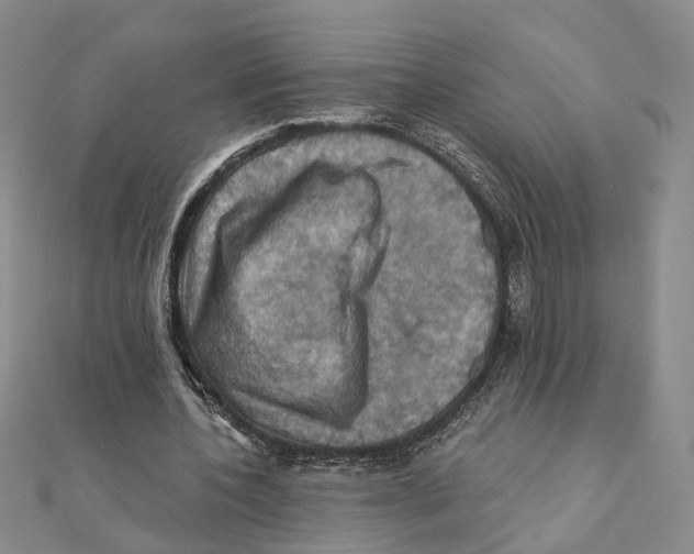 X0000111360532200908071155