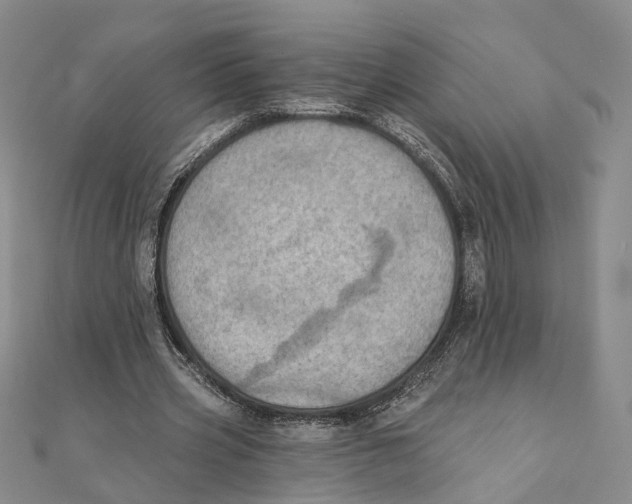 X0000111360533200908071155