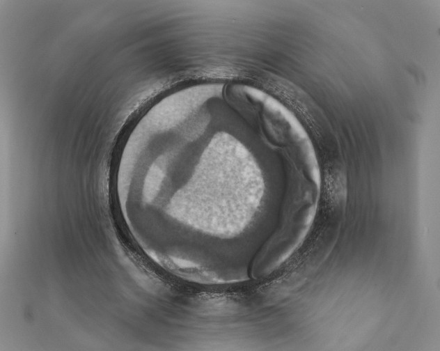 X0000111360534200908071155