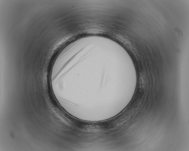 X0000111360535200908071155