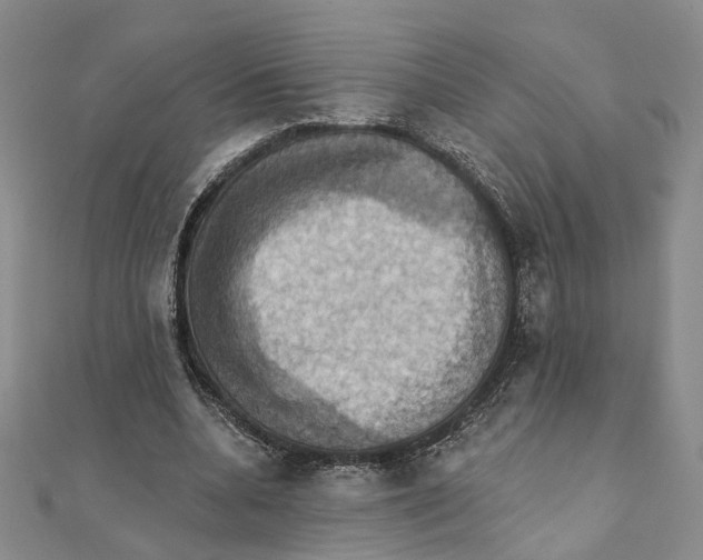 X0000111360536200908071155