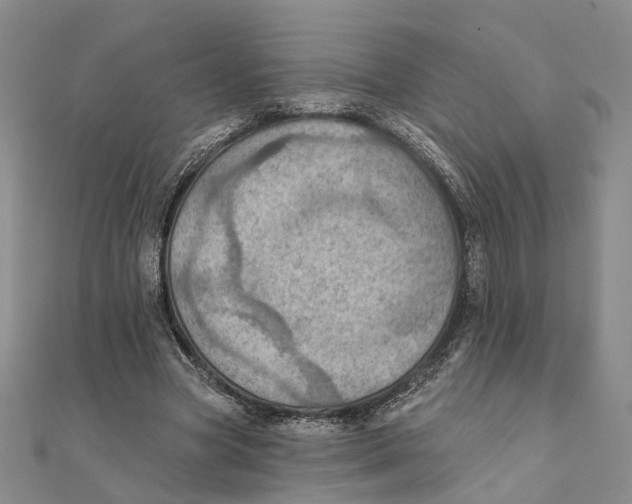 X0000111360537200908071155