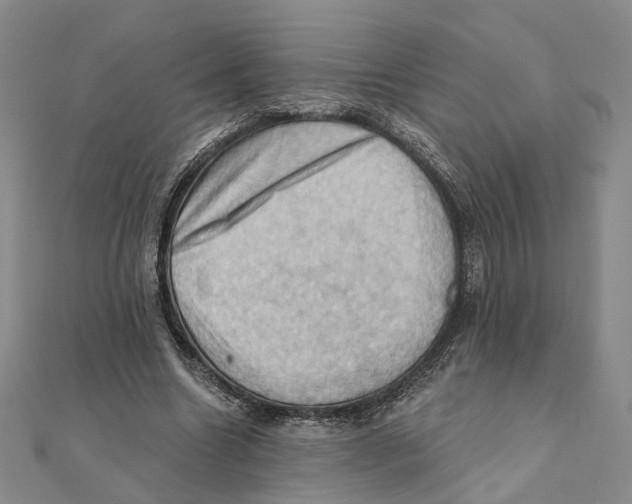 X0000111360538200908071155