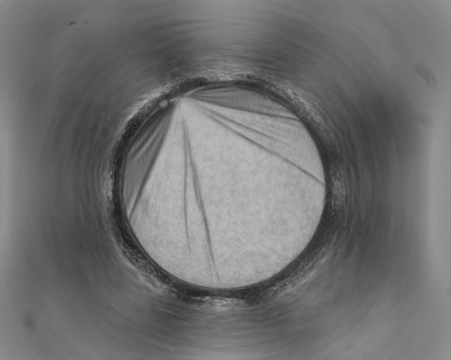 X0000111360539200908071155