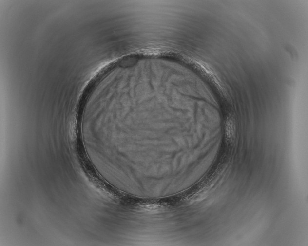 X0000111360540200908071155