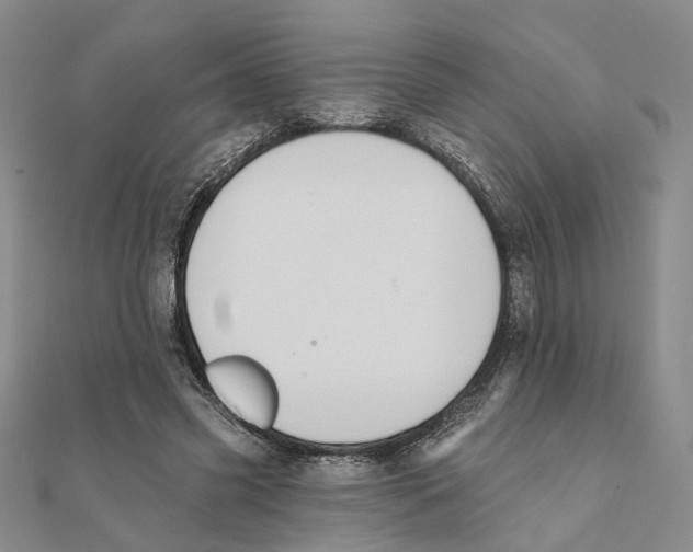 X0000111360541200908071155