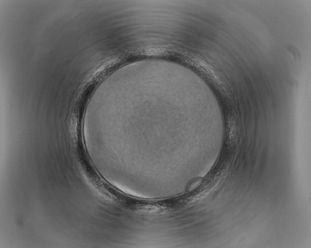 X0000111360542200908071155