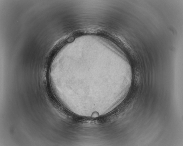 X0000111360543200908071155