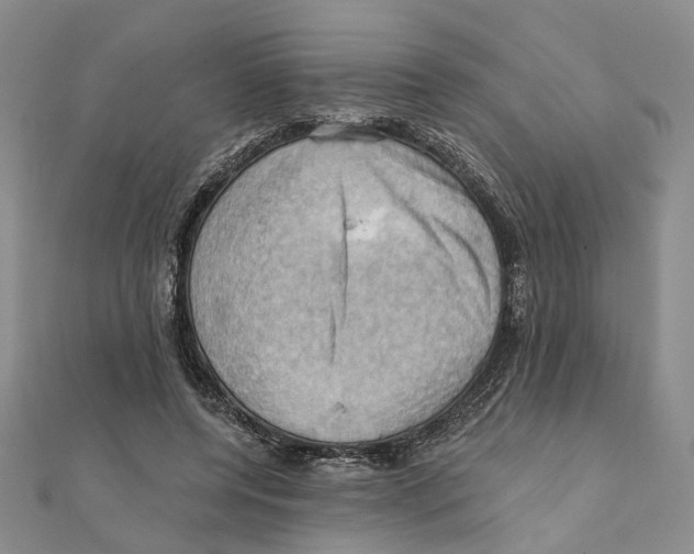 X0000111360544200908071155