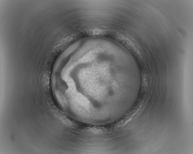 X0000111360545200908071155