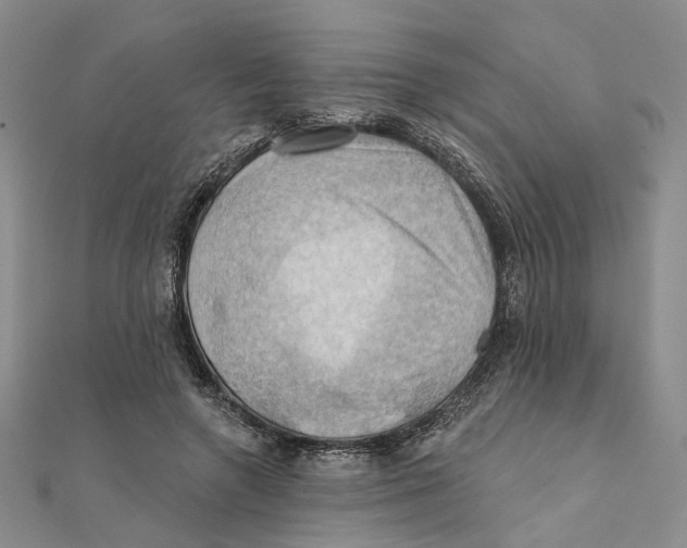 X0000111360546200908071155