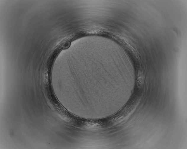 X0000111360547200908071155