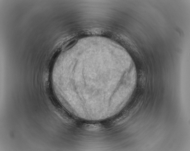 X0000111360548200908071155