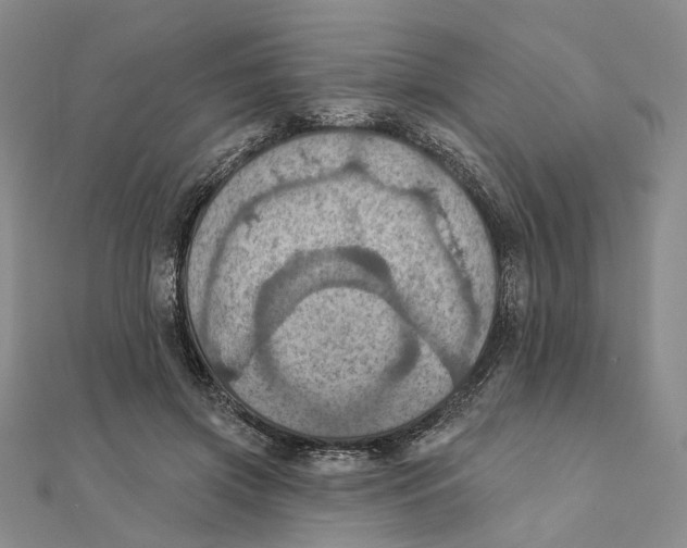 X0000111360549200908071155