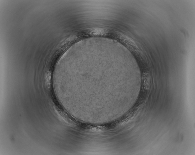 X0000111360550200908071155