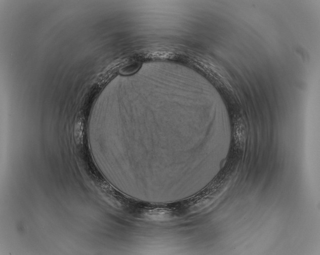 X0000111360551200908071155