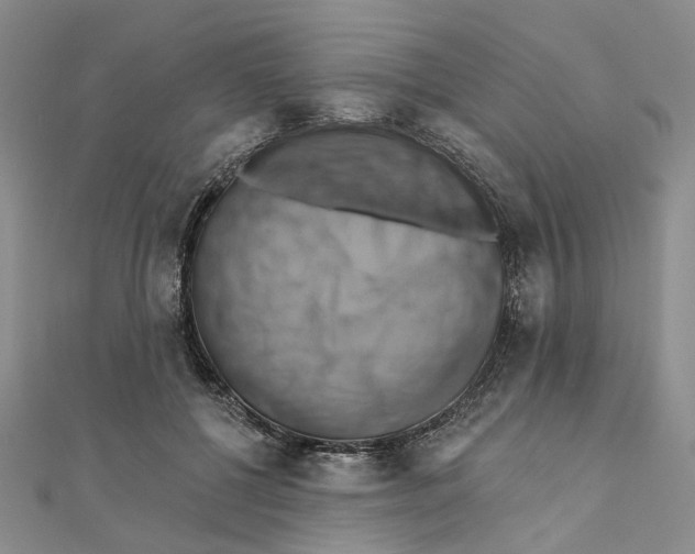 X0000111360552200908071155