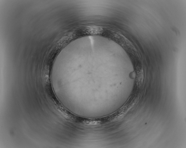 X0000111360553200908071155