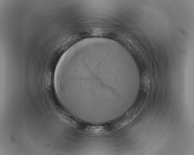 X0000111360554200908071155