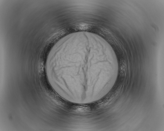 X0000111360555200908071155