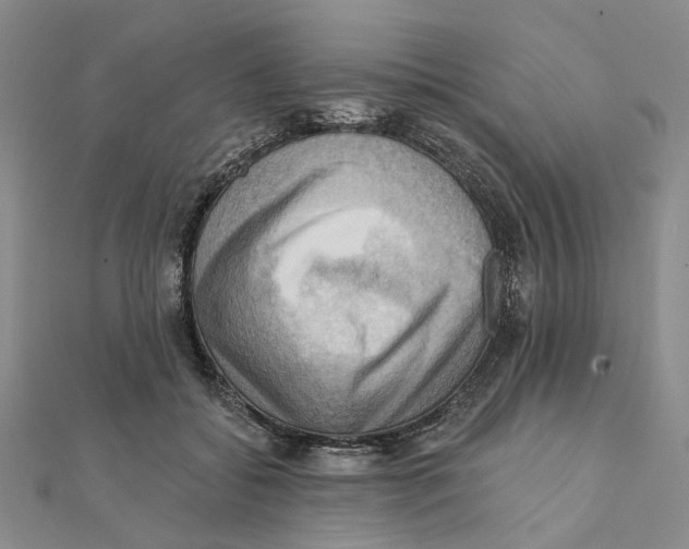 X0000111360556200908071155