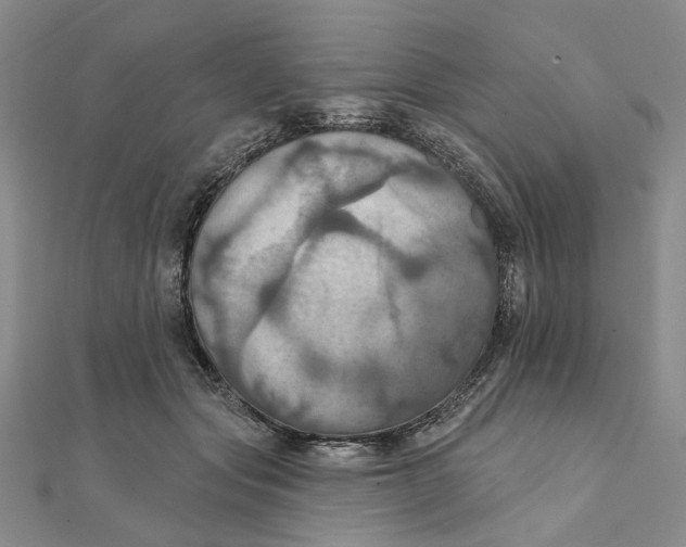 X0000111360557200908071155