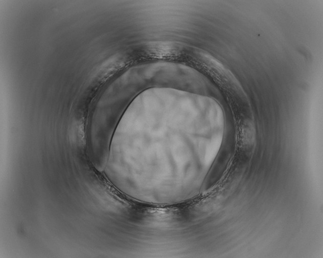 X0000111360558200908071155