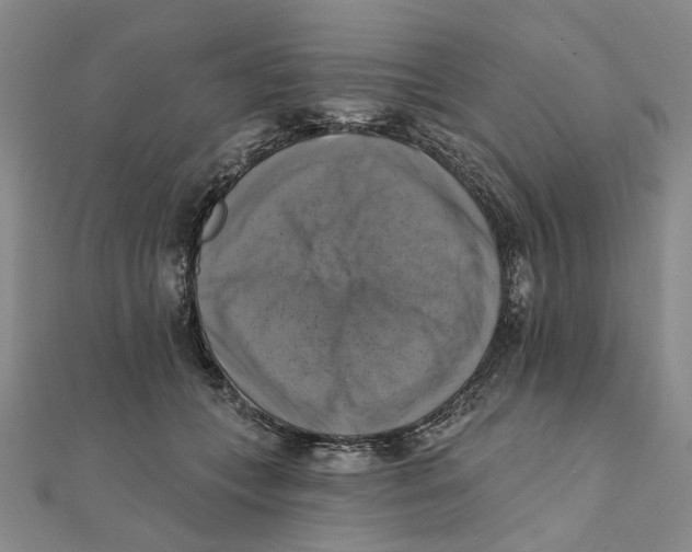 X0000111360559200908071155