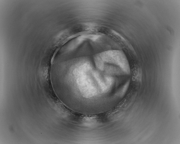 X0000111360560200908071155