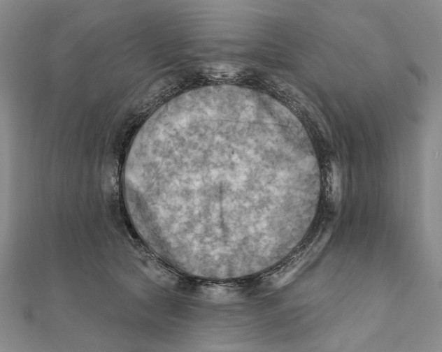 X0000111360561200908071155