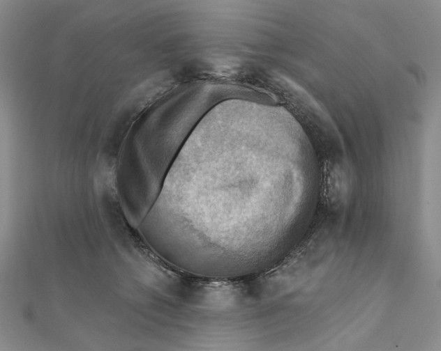 X0000111360562200908071155