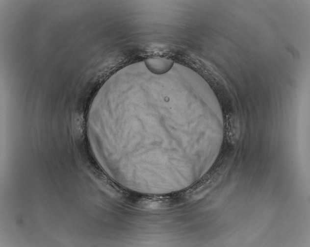 X0000111360563200908071155