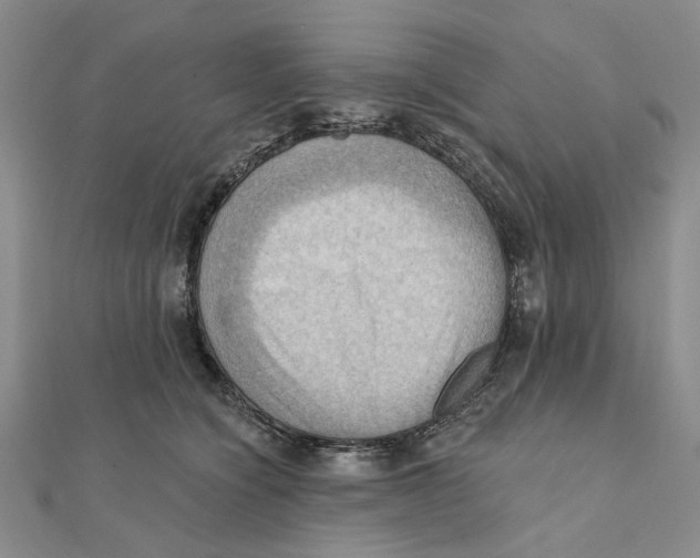 X0000111360564200908071155