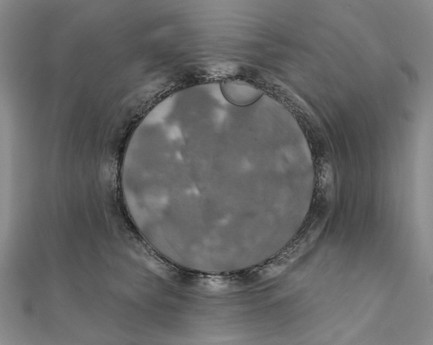 X0000111360565200908071155