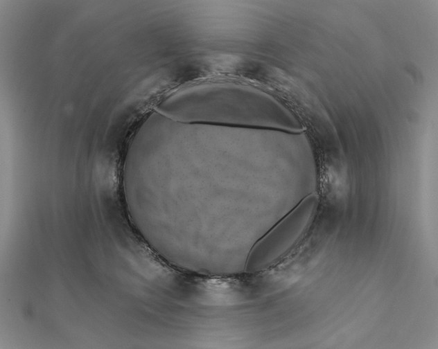 X0000111360566200908071155