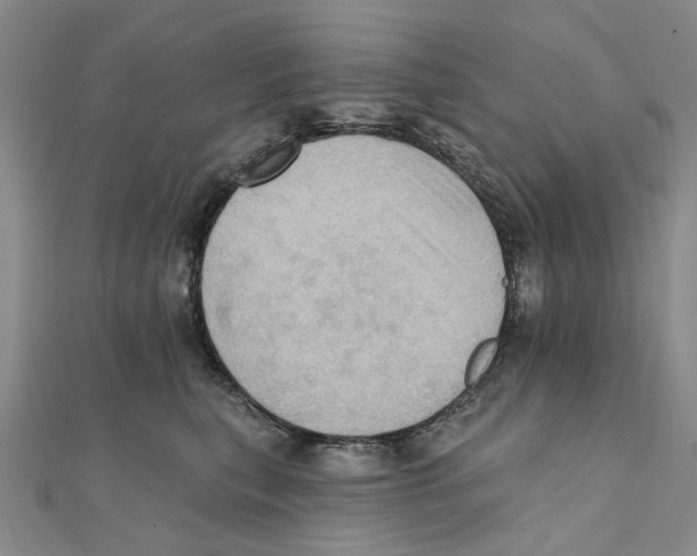 X0000111360567200908071155