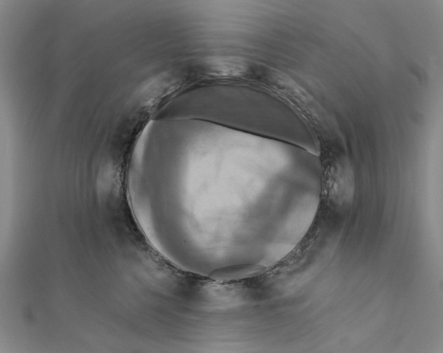 X0000111360568200908071155