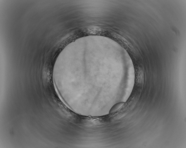 X0000111360569200908071155