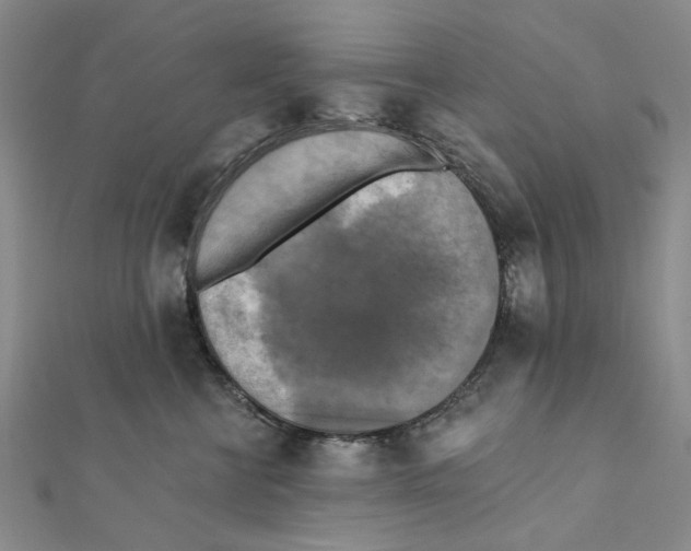 X0000111360570200908071155