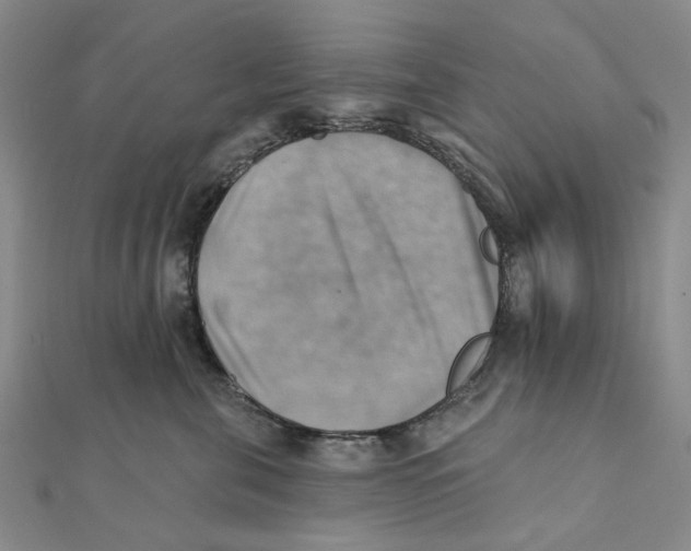 X0000111360571200908071155