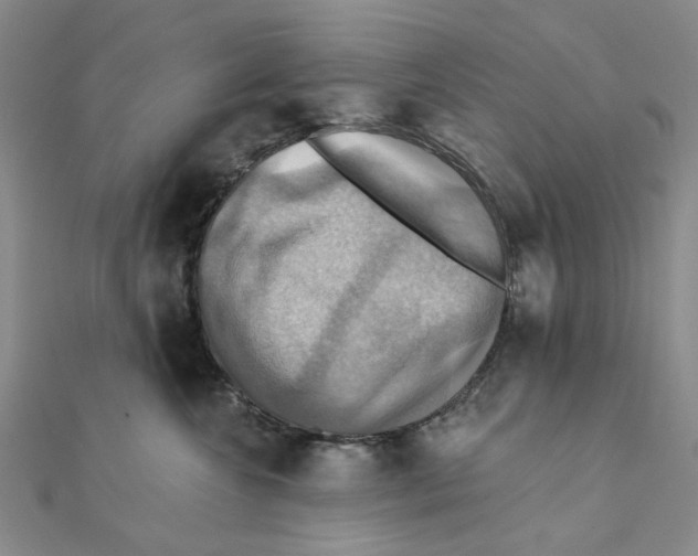 X0000111360572200908071155