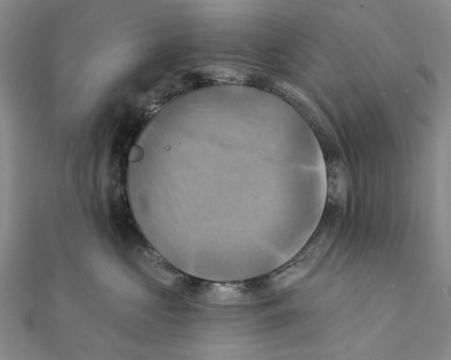 X0000111360573200908071155