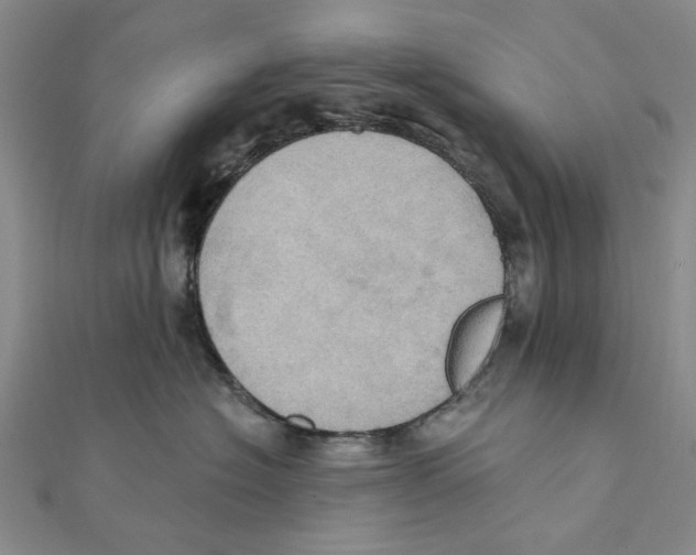 X0000111360574200908071155