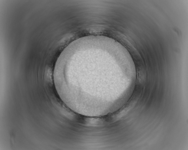 X0000111360575200908071155