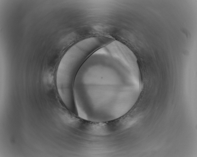 X0000111360576200908071155