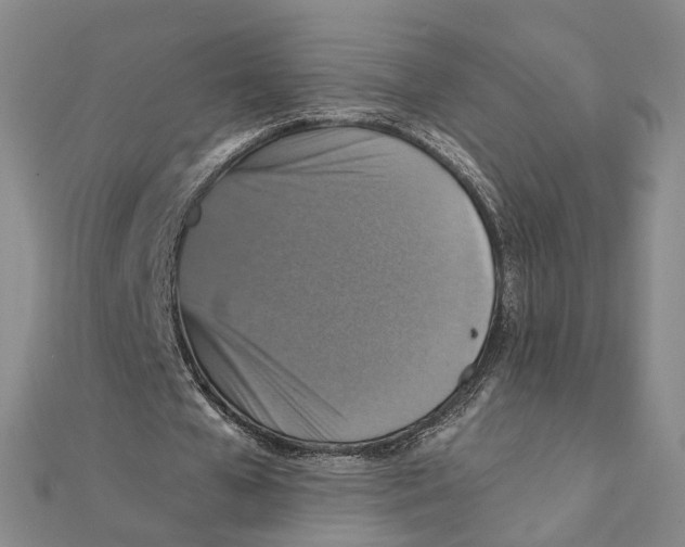 X0000111360577200908071155